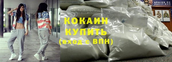 сатива Елизово