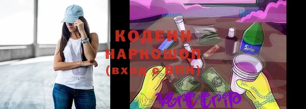 ГАЛЛЮЦИНОГЕННЫЕ ГРИБЫ Семёнов