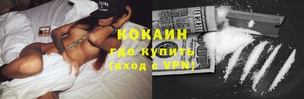 ГАЛЛЮЦИНОГЕННЫЕ ГРИБЫ Семёнов