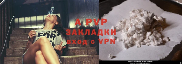 ГАЛЛЮЦИНОГЕННЫЕ ГРИБЫ Семёнов