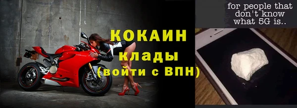 сатива Галич