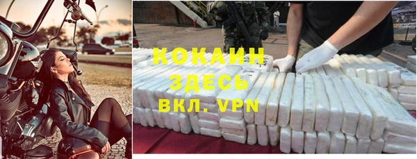 сатива Елизово