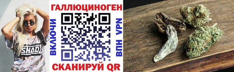 hydra сайт  Новохопёрск  Псилоцибиновые грибы Magic Shrooms 